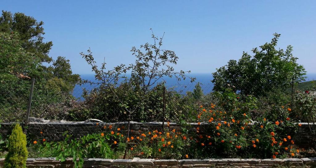 Apartments Spiros Pelion Kalamaki  Bagian luar foto