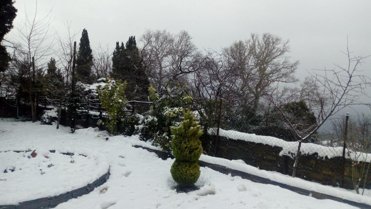 Apartments Spiros Pelion Kalamaki  Bagian luar foto